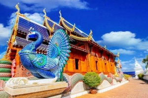 九游娱乐文化：中国康辉旅游集团有限公司(图7)