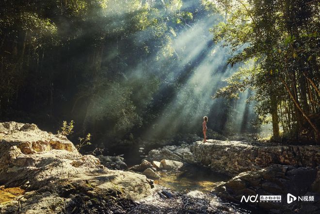 澳大利亚昆士兰旅游局举办2024年大中华区洽谈会(图3)