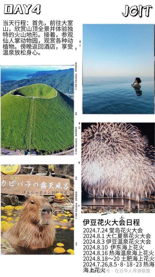 2024日本花火大会看点奔赴浪漫仲夏之约！(图9)