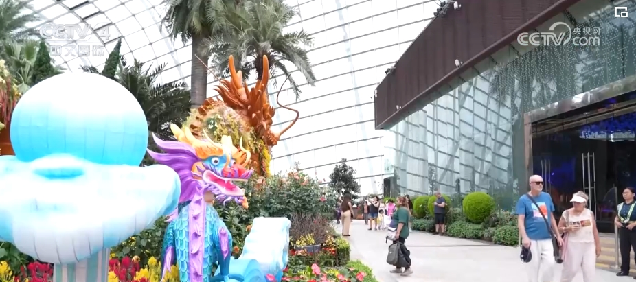 九游娱乐文化：中国游客“说走就走”为多国旅游业复苏、经济发展带去新活力(图11)