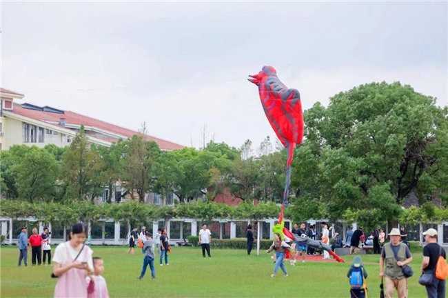 实力圈粉！2024年上海旅游节第27届旅游风筝会、滑水节完美收官！