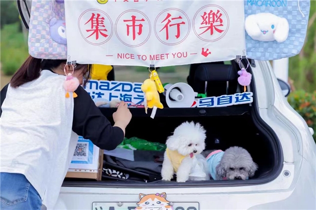 实力圈粉！2024年上海旅游节第27届旅游风筝会、滑水节完美收官！(图11)