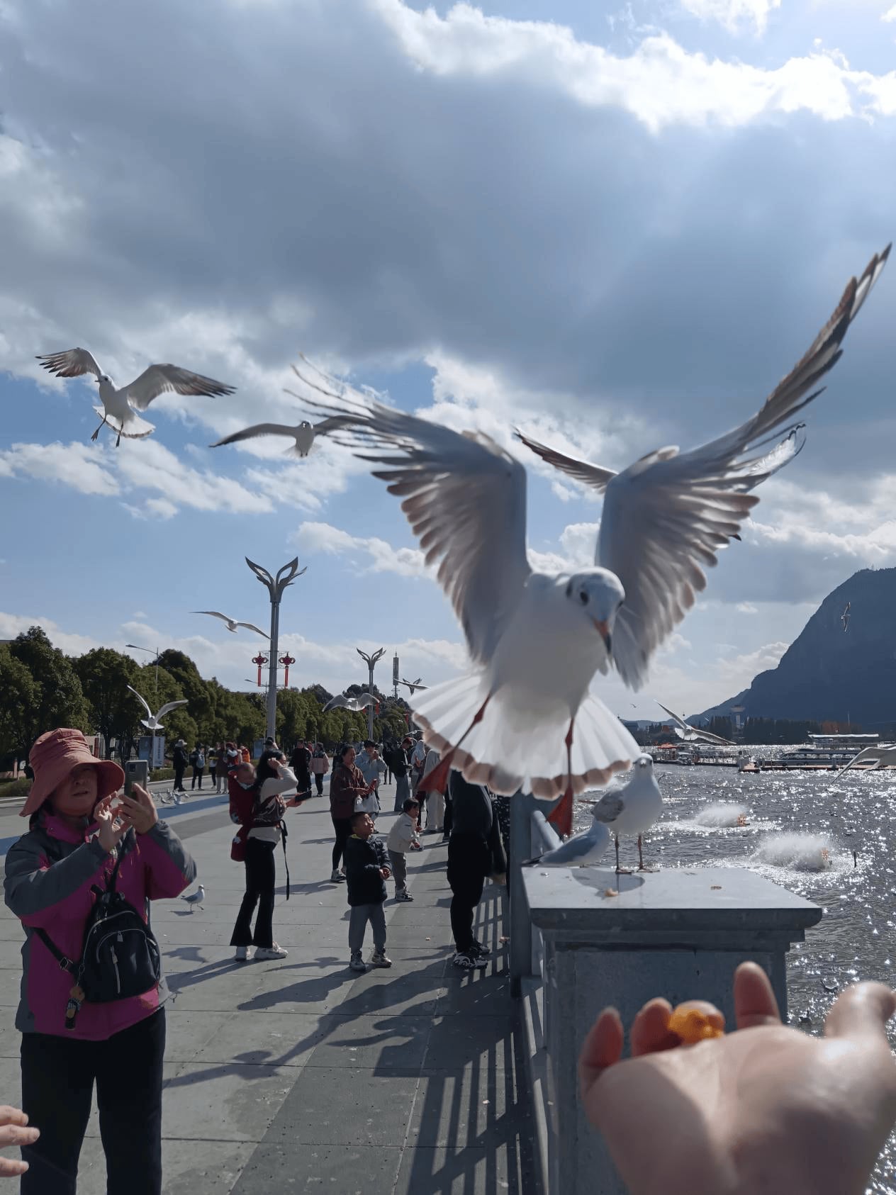 九游娱乐文化：深圳市怡环科技有限责任公司(图7)