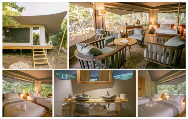 九游娱乐：现场COTTM2024：高端游、康养游、深度中亚游…出境游趋势前瞻(图6)