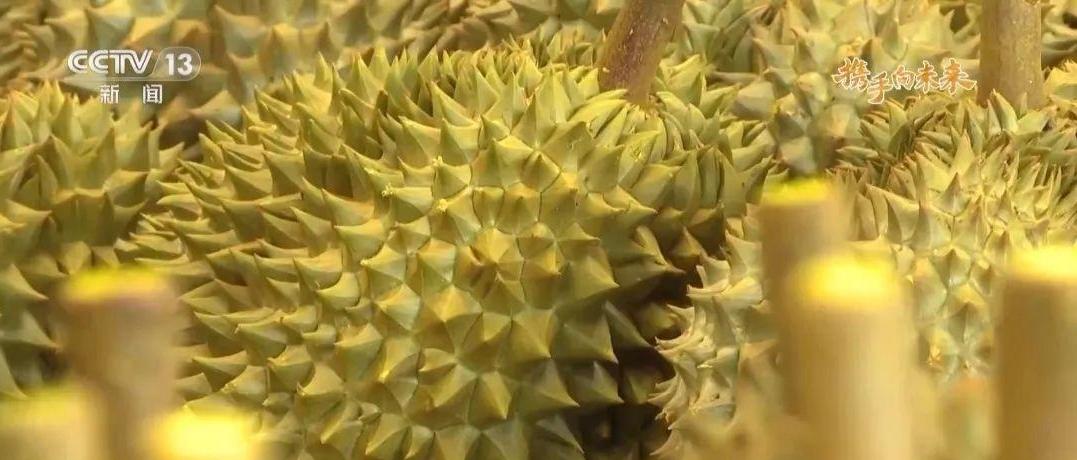 俄罗斯人组团到黑河吃早饭在这些地方跨国逛买也是日常｜第2眼(图9)