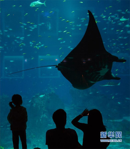 25天假出境游没戏？直飞5小时内旅游圈敞开玩儿(图4)