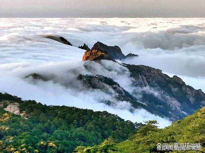 九游娱乐：黄山私家小包旅行团当地旅游公司纯玩随团旅游报价费用一千(图2)