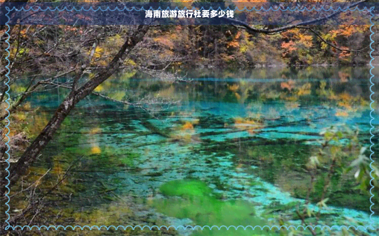 九游娱乐：海南旅游旅行社要多少钱