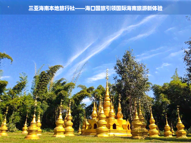 九游娱乐：海南旅游旅行社要多少钱(图2)