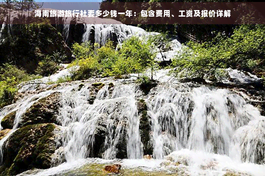 九游娱乐：海南旅游旅行社要多少钱(图6)