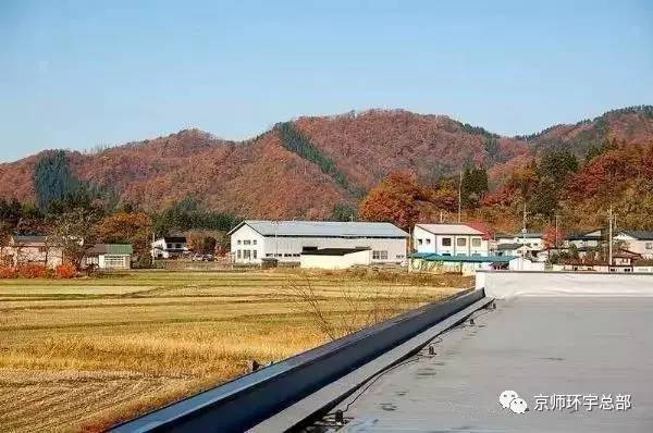 日本放宽旅游签证丨中文学习需求应运而生(图4)
