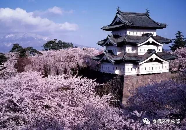 日本放宽旅游签证丨中文学习需求应运而生(图7)