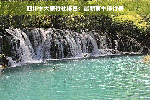 九游娱乐：四川十大旅行社(图5)