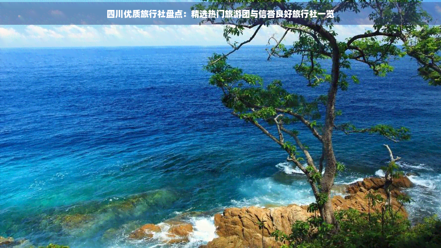 四川好点的旅游团有哪些(图2)