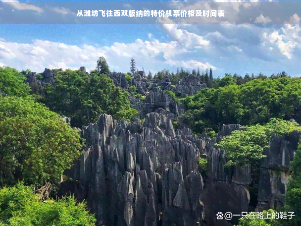 从潍坊飞往西双版纳的特价机票价格及时间表