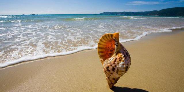 海南三亚湾旅游3天多少钱三亚湾组团三日游攻略(图2)