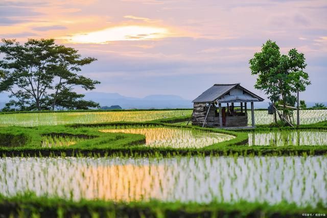 乡村旅游新业态的实现机制