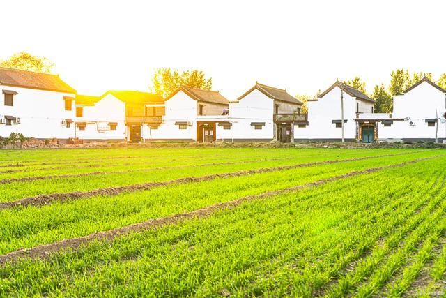 乡村旅游新业态的实现机制(图3)