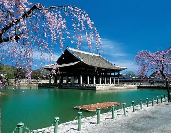 差距巨大！中日韩上半年外国游客：韩770万日1777万我国多少(图16)