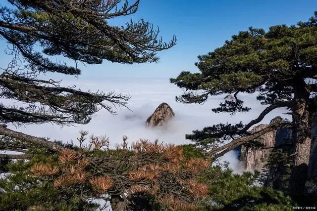 九游娱乐文化：黄山地接旅行社【旅行社前十名联系电话号码】正规优秀有哪些