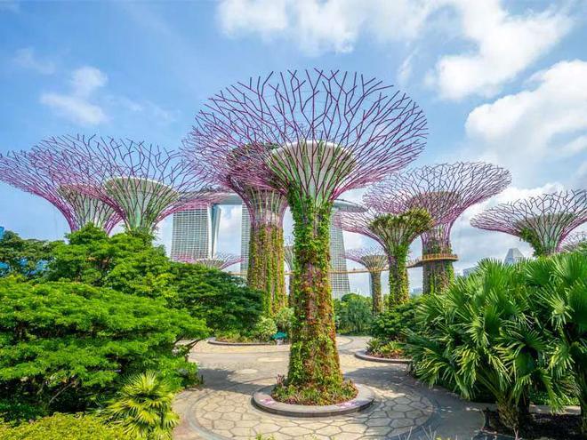 旅业速递出境游劲吹复苏风多国热潮涌动中国赴西班牙游客达2019年的97%！(图5)