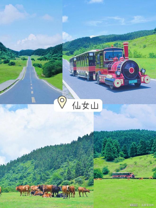 成都出发重庆之旅！成都到重庆旅游团报价一览(图2)