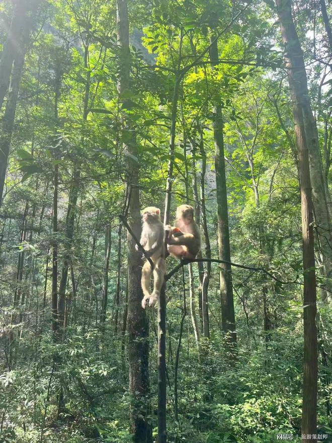 清晰明了！宁波到张家界旅游团价格一看就知道(图3)