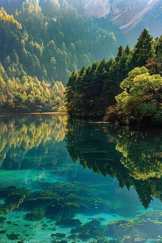 四川旅游报团游还是自助游深度剖析做出明智选择！(图2)