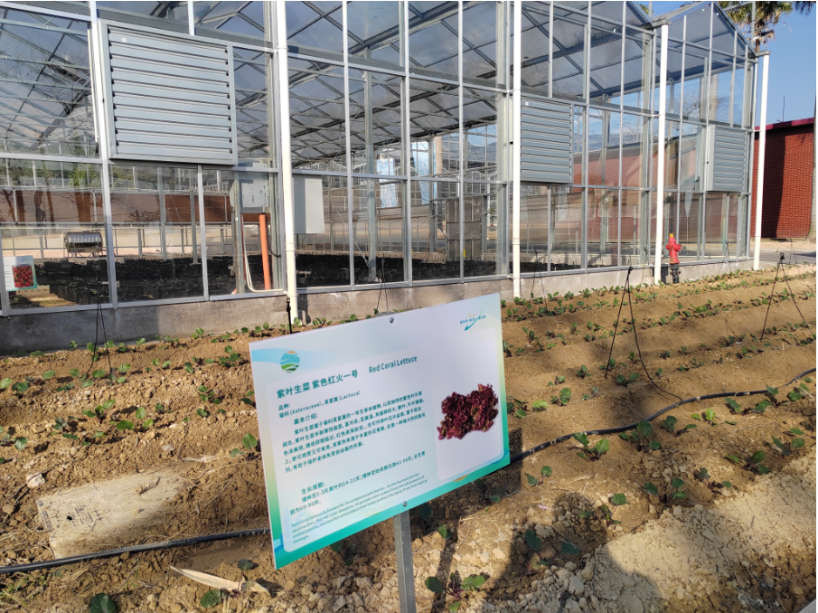 银城闽鹭台蔬菜基地“闽台密码”：融合两岸智慧创新农文旅新业态(图3)