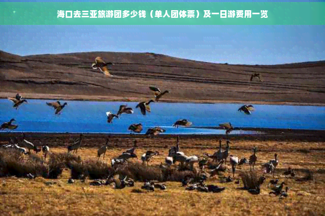 九游娱乐：海口去三亚旅游团多少钱（单人团体票）及一日游费用一览