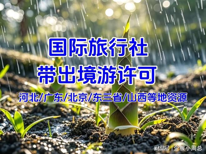 重要！升级国际旅行社的条件要求全解析(图3)