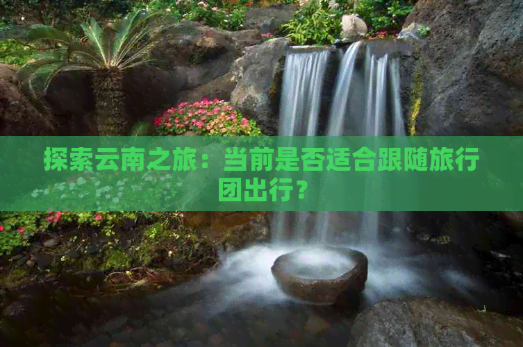 跟旅行团去云南好吗现在(图4)