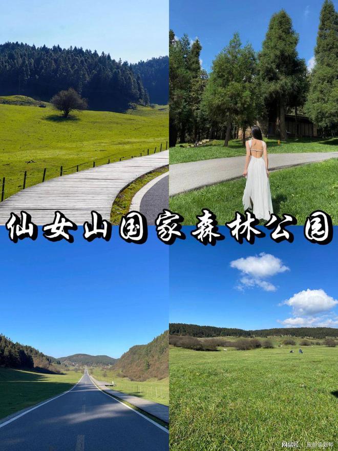 九游娱乐：重庆旅游跟团好还是自己去好？权衡利弊找到最优方案！(图2)