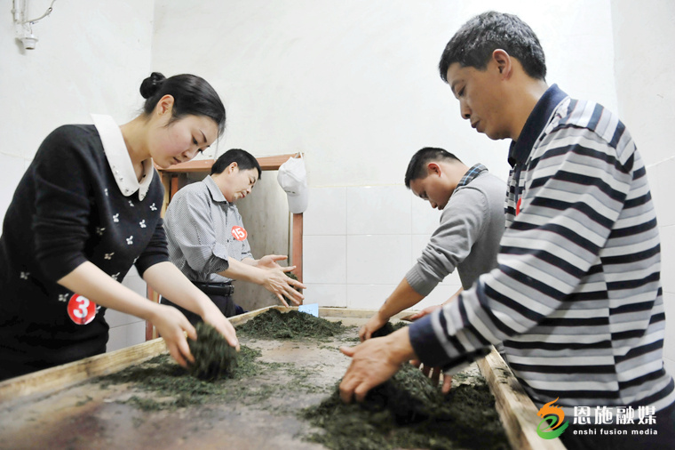 九游娱乐：恩施玉露：一片绿叶的“闯关出圈”之旅(图10)