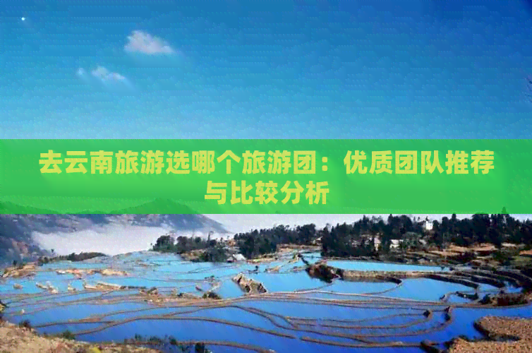 去云南旅游选哪个旅游团：优质团队推荐与比较分析