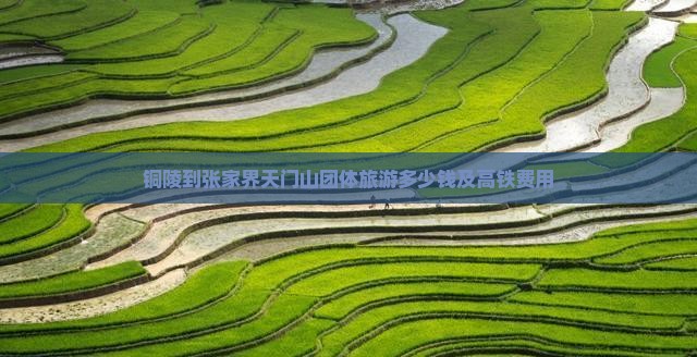 铜陵到张家界天门山团体旅游多少钱及高铁费用(图2)