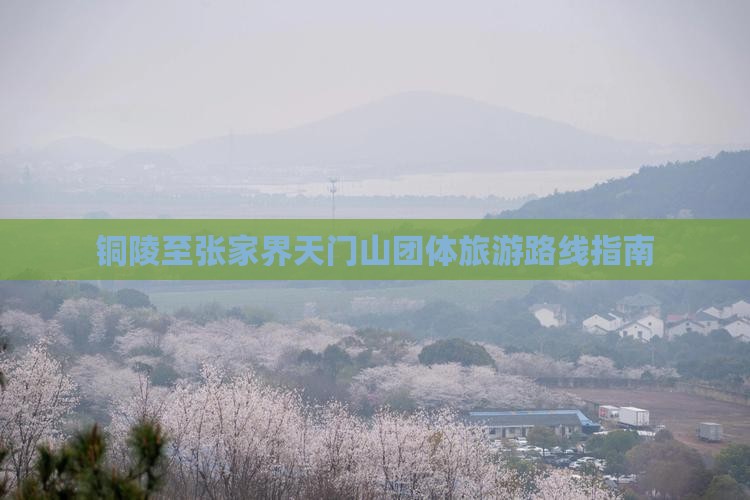 铜陵至张家界天门山团体旅游路线指南