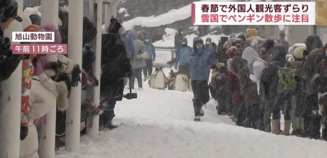 中国游客撑起日本旅游基本盘