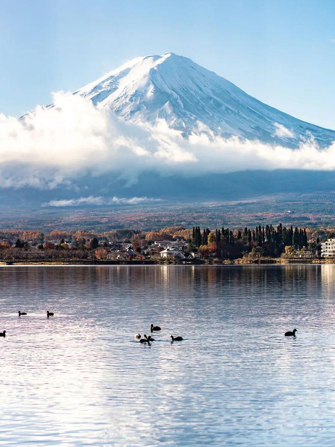 春节前去日本旅游的中产后悔了吗？(图5)
