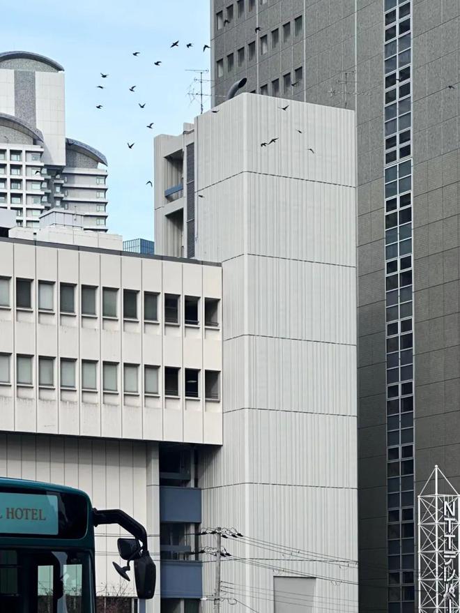 春节前去日本旅游的中产后悔了吗？(图12)