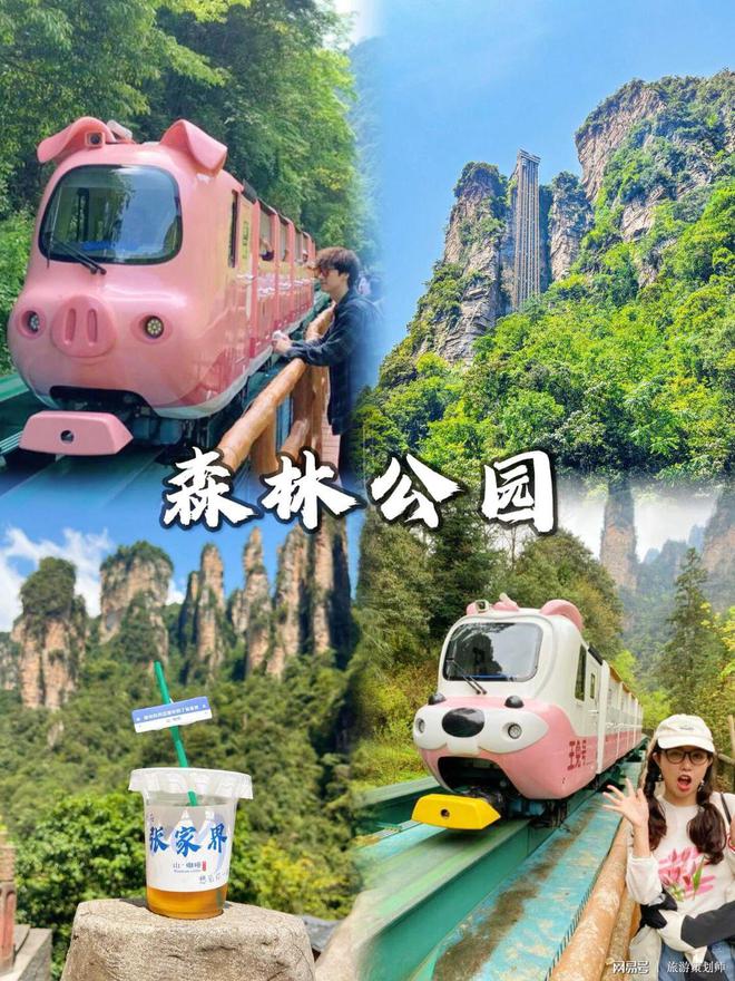 【优劣对比】张家界旅游跟团好还是自由行好一文读懂(图2)