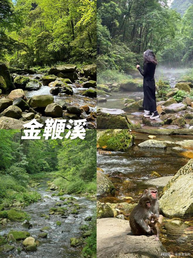 【优劣对比】张家界旅游跟团好还是自由行好一文读懂(图3)