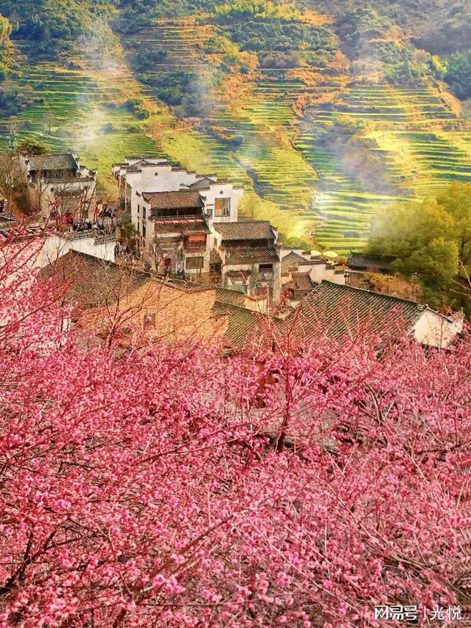九游娱乐：江西婺源篁岭2月必冲！春季旅游顶流花海出片路线全攻略！