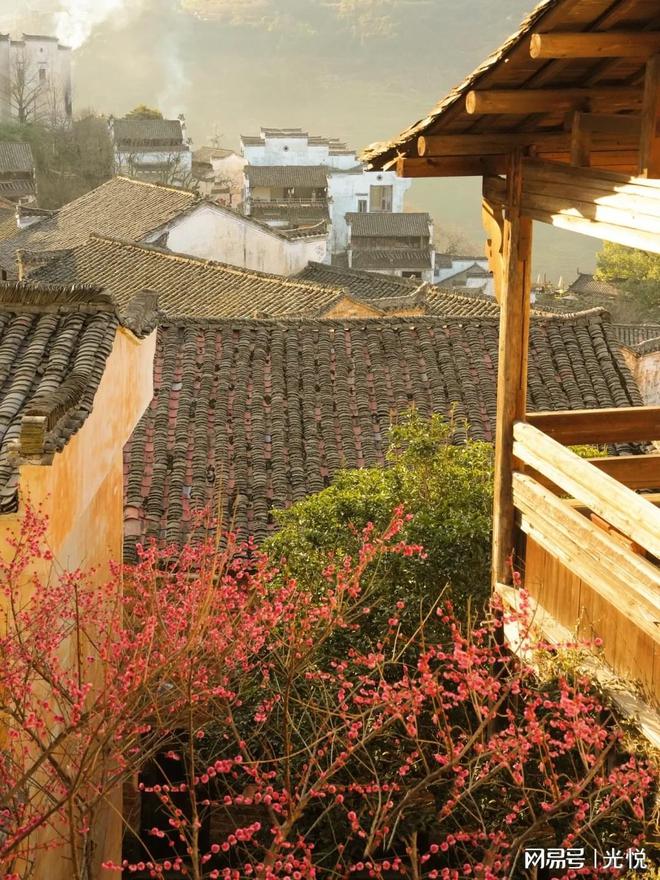 九游娱乐：江西婺源篁岭2月必冲！春季旅游顶流花海出片路线全攻略！(图2)