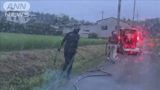 日本养鸡场铜线电缆被切断盗走鸡场空调停止运转超5万只鸡死亡3名外国男子被捕