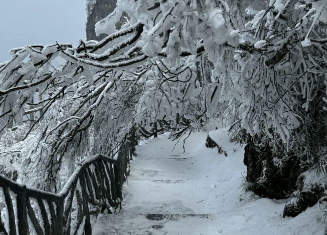 九游娱乐文化：张家界当地哪个旅行社口碑好？张家界当地豪华3日游跟团报价(图3)