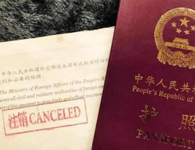 九游娱乐文化：当年为去日本有多拼命如今想回国哭得就有多惨！日籍华人陷困境(图10)