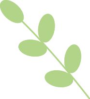 “春日经济”正当时民航出行“满格续航”