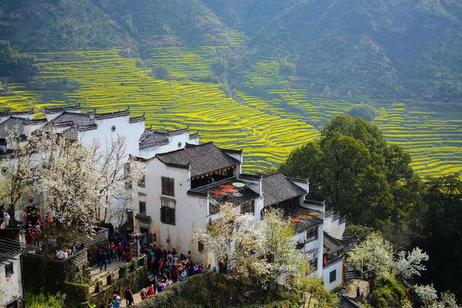 文旅市场“花”式闹春这些目的地成热门(图2)