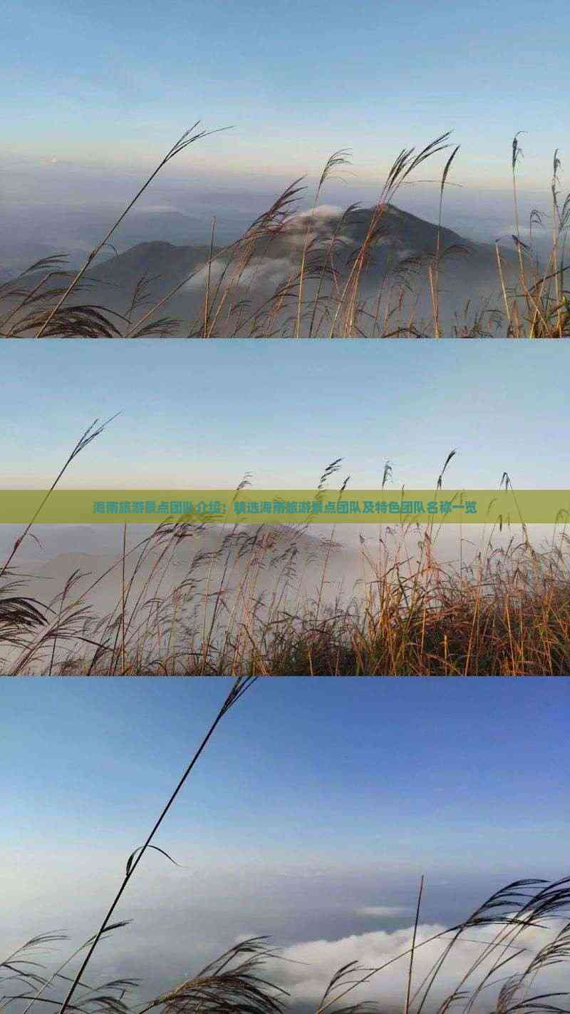 九游娱乐：海南旅游景点团队介绍：精选海南旅游景点团队及特色名称一览(图4)